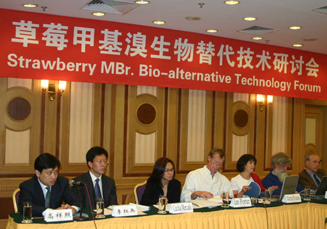 聯(lián)合國環(huán)境署、聯(lián)合國工發(fā)組織等機構出席了我公司舉行的草莓甲基溴生物替代技術研討會